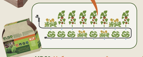 шланг капельного полива растений из накопительной емкости (бочки) в теплице и огороде